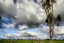 法媒：巴黎圣日耳曼将投资10亿欧，用于可容纳9万人的新球场项目.